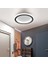 Siyah Ø30CM Çember 3 Işık Rengi, Kumandalı LED Tavan Lambası, yuvarlak Avize, modern 3