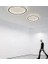 Siyah Ø30CM Çember 3 Işık Rengi, Kumandalı LED Tavan Lambası, yuvarlak Avize, modern 4