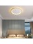 Gold Ø60CM Çember 3 Işık Rengi, Kumandalı LED Tavan Lambası,yuvarlak Avize,modern Aydınlatma,dekoratif Işık 2