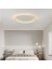 Gold Ø60CM Çember 3 Işık Rengi, Kumandalı LED Tavan Lambası,yuvarlak Avize,modern Aydınlatma,dekoratif Işık 3