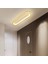 Gold Oval 40X16CM 3 Işık Rengi, Kumandalı LED Tavan Lambası,oval Avize,modern Aydınlatma,dekoratif Işık 4