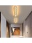 Siyah Oval 80x16 cm 3 Işık Rengi Kumandalı LED Tavan Avize 4