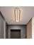 Siyah Oval 60x16 cm 4000k Işık Rengi Kumandalı LED Tavan Avize 2