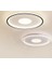 Siyah Ø40CM Yuvarlak 3 Işık Rengi, kumandalı LED Tavan Lambası, avize, modern Aydınlatma, Dekoratif Işık 3