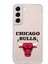 Samsung Galaxy S23 Uyumlu Kamera Korumalı Kapak Chicago Bulls Tasarımlı Şeffaf Süper Silikon Kılıf 1