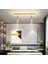 Beyaz Spotlu Oval 60X16CM 4000k Işık Rengi, Kuamndalı LED Tavan Lambası,oval Avize,modern Aydınlatma,dekoratif Işık 2