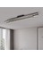 Gold 120CM 3 Işık Kumandalı, LED Tavan Lambası,avize,modern Aydınlatma,dekoratif Işık 2