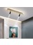 Siyah Spotlu Oval 60X16CM 4000k Işık Rengi, Kuamndalı LED Tavan Lambası,oval Avize,modern Aydınlatma,dekoratif Işık 1
