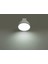 YL91-0501 5W Spot LED Ampül 6500K Beyaz GU10 Duy 2