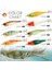F Stili YTOTO-75MM 9g Pero G Kalamar Jig Cazibesi Egi Jigs Jig Balıkçılık Kalamar Kanca Deniz Balıkçılığı Için Ürünler Kalamar Kalamar Mürekkepbalığı Yapay Cazibesi (Yurt Dışından) 4