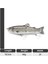 Büyük 363 Stili 2 Bölüm Planör Yem Çok Eklemli Balıkçılık Cazibesi Tuzlu Su Balıkçılığı Için Li Swimbait Cazibesi Bölüm Swimbait Hardlure (Yurt Dışından) 1