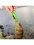 Turuncu Tarzı Banshee Deniz Crankbaits Balıkçılık Cazibesi Turna ve Levrek Alabalık Trolling Cazibesi Minnow Wobblers Yapay Yem Şamandıra Derinliği (Yurt Dışından) 2