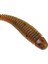 D Stili 48MM 0.8g 10 Adet Lot Balık Tutma Kolay Parlatıcı Solucanlar Yumuşak Yemler 4.8cm 0.8g Sazan Jig Wobblers Baral Swimbaits Yapay Silikon Yem (Yurt Dışından) 5