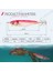 C Stili 75MM 9g Letoyo Kalamar Jig G Kalamar Kancalı Yapay Karides Jig Deniz Balıkçılık Lures Aydınlık Mürekkep Balığı Ahtapot Yemler Egi (Yurt Dışından) 5