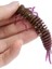 Renkc Stili 100MM 7g 8 Adet Yeni Yumuşak Yem Larva Yumuşak Cazibesi Solucan Leurre Peche Jig Cazibesi Olta Takımı Balıkçılık Için Yumuşak Cazibesi (Yurt Dışından) 5