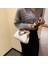 Beyaz Stil 25X11X18CM Ahşap Altın Klipsli Çanta Tasarımcısı Yeni Kişilik Ahşap Klipsli Messenger Çanta Renk Dain Kadın Omuz Çantası (Yurt Dışından) 5