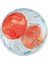Ferplast Pa 5220 Hamster Egzersiz Balonu L 2