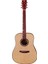 D-20 Akustik Gitar 1