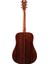 D-20 Akustik Gitar 2