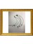 A1312 Sabit Disk HDD Sıcaklık Sıcaklık Sensörü Kablosu iMac 27 A1312 Sıcaklık Sıcaklık Sensörü 2009 2010 593-1033 922-9224 (Yurt Dışından) 4