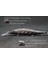 M817X45 Stili Wlure 16G 13CM Derin Dalış Jerkbait Ağırlık Transfer Sistemi 3 Tiz Kanca Yavaş Yüzen Minnow Balıkçılık Cazibesi M817 (Yurt Dışından) 4