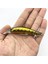 No.6 Tarzı 1 Adet Balıkçılık Cazibesi Li Minnow Yem 3D Gözler G Yapay Sert Yem Jig Wobblers Balıkçılık Yem Levrek Sazan Crankbait (Yurt Dışından) 2