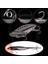 Gümüş-No Kanca Tarzı 20G Metal Vıb 7g 10G 15G 20G Balıkçılık Cazibesi Titreşim Spooer Lures Crankbait Bass Yapay Sert Yem Ağustosböceği Vıb Mücadelesi (Yurt Dışından) 5