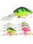 Y290-12 Stili Boxed Predator Balıkçılık Yüzen Abs Cazibesi Crankbait Balık Yapay Sert Yem Wobbler Bas Sazan Japonya Üst Kış Fly Balıkçılık Kutulu Luya (Yurt Dışından) 2