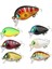 No.11 Stili 1 Adet G Mini Crankbait Balıkçılık Cazibesi Yüzen Yapay Sert Yem Japonya Minnow Mücadele Alabalık Bas Sazan Balıkçılık 17 Renk (Yurt Dışından) 3