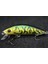 M219X82 Stili Wlure 8g 7cm Balıkçılık Cazibesi Sert Yem Sazan Balıkçılık Tatlı Su Böcek Yemi Sahte Cazibesi Balıkçılık Jerkbait Minnow Crankbait M219 (Yurt Dışından) 1