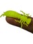 Kırmızı Stil 50 mm Lot Yumuşak Plastik Lures Larva Tatlısu Swimbaits Balıkçılık Için Silikon Yumuşak Yem Solucan Larva Balıkçılık Lures (Yurt Dışından) 2