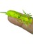 Kırmızı Stil 50 mm Lot Yumuşak Plastik Lures Larva Tatlısu Swimbaits Balıkçılık Için Silikon Yumuşak Yem Solucan Larva Balıkçılık Lures (Yurt Dışından) 4