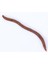 H206-30PCS Tarzı Oft Cazibesi Silikon Simülasyon Solucanlar Kırmızı Solucanlar Yapay Balıkçılık Lures 7.5cm Kan Kurdu Balık Kokusu Yemi (Yurt Dışından) 1