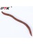 H206-30PCS Tarzı Oft Cazibesi Silikon Simülasyon Solucanlar Kırmızı Solucanlar Yapay Balıkçılık Lures 7.5cm Kan Kurdu Balık Kokusu Yemi (Yurt Dışından) 2