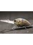 HC733X402 Stili Wlure 11G 8.5cm Derin Su Wobbler Gerçek Cilt Boyama Sıkı Yüzen Crankbait Kesme Bıçağı Tiz Kancalar Balıkçılık Lures HC733 (Yurt Dışından) 1