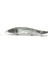 M817X46 Stili Wlure 16G 13CM Derin Dalış Jerkbait Ağırlık Transfer Sistemi 3 Tiz Kanca Yavaş Yüzen Minnow Balıkçılık Cazibesi M817 (Yurt Dışından) 1