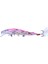 No.3 Tarzı 1 Adet Yüzen Wobblers Minnow Balıkçılık Cazibesi Yapay Sert Yem Bas Plastik Balık Crankbait Jig Sazan Olta Takımı (Yurt Dışından) 1
