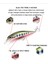 No.6 Tarzı 1 Adet Yüzer Balıkçılık Lures Minnow Yem G 3D Gözler Yapay Sert Yem Wobbler Crankbaits Sazan Levrek Jig Olta Takımı (Yurt Dışından) 4