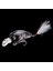 Renk 23 Tarzı G Crankbait Balıkçılık Cazibesi Yapay Sert Crankbait Bas Balıkçılık Wobbler Japonya Topwater Minnow Balığı Cazibesi G (Yurt Dışından) 1