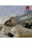 LFSL001R Stili 140MM 26G Le-Sahte Kafa G Balıkçılık Cazibesi Yüzen Crankbait Levrek Pike Cazibesi Kalem Yemi Vmc Kancalı Topwater Popper (Yurt Dışından) 5