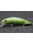 M219X77 Stili Wlure 8g 7cm Balıkçılık Cazibesi Sert Yem Sazan Balıkçılık Tatlı Su Böcek Yemi Sahte Cazibesi Balıkçılık Jerkbait Minnow Crankbait M219 (Yurt Dışından) 1