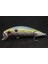 M219X89 Stili Wlure 8g 7cm Balıkçılık Cazibesi Sert Yem Sazan Balıkçılık Tatlı Su Böcek Yemi Sahte Cazibesi Balıkçılık Jerkbait Minnow Crankbait M219 (Yurt Dışından) 1