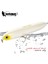 No.4 Tarzı Hunthouse Chatterbeast Pencil Fishing Lures Long Casting Seabass Floating G Surface Walk The Dog Hard Bait Top Water (Yurt Dışından) 2