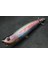 HW622X416 Stili Wlure 10CM 17G Uzun Döküm Topwater Popper Yürüyüş Cazibesi Yüzer Yem Kesme Bıçağı Tiz Kancalar Gerçekçi Balıkçılık Cazibesi HW622 (Yurt Dışından) 1