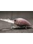 HC733X461 Stili Wlure 11G 8.5cm Derin Su Wobbler Gerçek Cilt Boyama Sıkı Yüzen Crankbait Kesme Bıçağı Tiz Kancalar Balıkçılık Lures HC733 (Yurt Dışından) 1