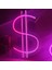Neon Işıklı Dolar 3