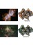 Tarantula Stili Nebula Glitter Çokyüzlü 7 Parçalı Zar Seti D4 D6 D8 D10 D% D12 D20 Rpg Dnd Masa Oyunları Için (Yurt Dışından) 5
