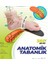 Spor Anatomik Ayakkabı Tabanlığı Masaj Etkili Tabanlık Footcare 360 4