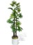 Yapay Ağaç Yelpaze Palmiye 4katlı Fanpalm 32 Yaprak Altın Kemerli Beyaz Saksıda 170*65CM 1