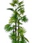 Yapay Ağaç Yelpaze Palmiye 4katlı Fanpalm 32 Yaprak Altın Kemerli Beyaz Saksıda 170*65CM 2